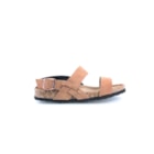 294-PR1049-Camel2_1-2