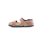 294-PR1049-Camel3_1-3