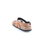 294-PR1049-Camel4_1-4