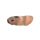 294-PR1049-Camel5_1-5