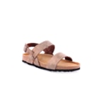 294-PR1049-Castanho1_1-1