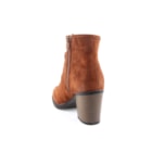 252Y-9227-A-Camel4_1-4