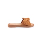 051-V2013-Camel2_1-2