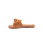 051-V2013-Camel3_1-3