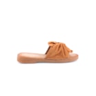 051-V2016-Camel2_1-2