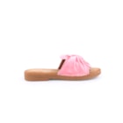 051-V2016-Coral2_1-2