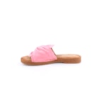051-V2016-Coral3_1-3