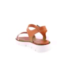081-19122-Camel4_1-4