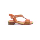 082-748-Camel2_1-2