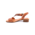 082-748-Camel3_1-3