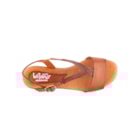 082-748-Camel6_1-6