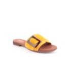 081-F430-C-Amarelo1_1-1