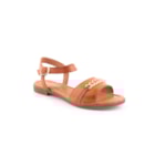 082-787-Camel1_1-1