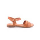 082-787-Camel2_1-2