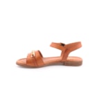 082-787-Camel3_1-3