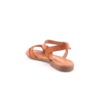082-787-Camel4_1-4