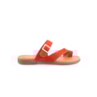 082-362-C-Coral2_1-2