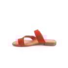 082-362-C-Coral3_1-3