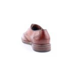 257-4070-Camel4_1-4