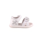 087A-1901-Branco2_1-2