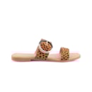 252Y-21081-Leopardo2_1-2