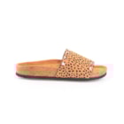 252Y-21063-Leopardo2_1-2