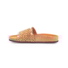 252Y-21063-Leopardo3_1-3