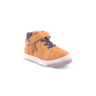 087A-2030-Camel1_1-1