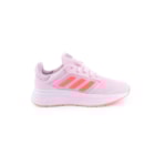 217-GW0773-Rosa2_1-2