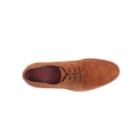 257-4090-C-Camel6_1-6