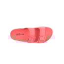 252Y-22053-Coral6_1-6