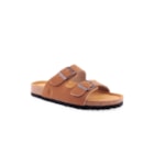 294-PR2033-Camel1_1-1
