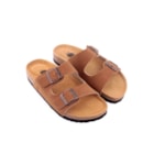 294-PR2033-Camel2_1-2