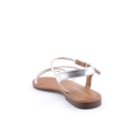 071-SILVINA-Prateado4_1-4