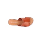 071-TAPIOCA-Camel6_1-6