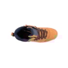 087A-2237-Camel6_1-6